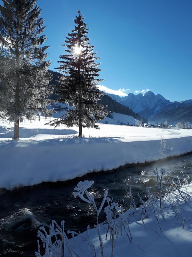 Transylvania Villa & Spa Gosau Exterior photo